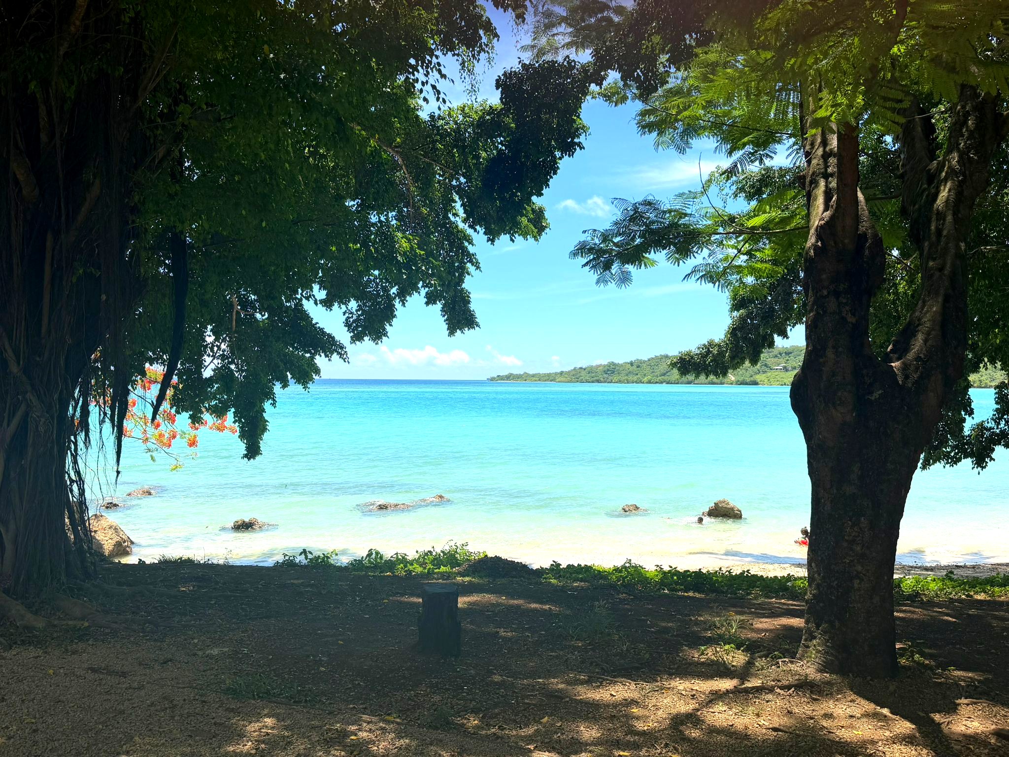 Pacific island coastline near the growing regions