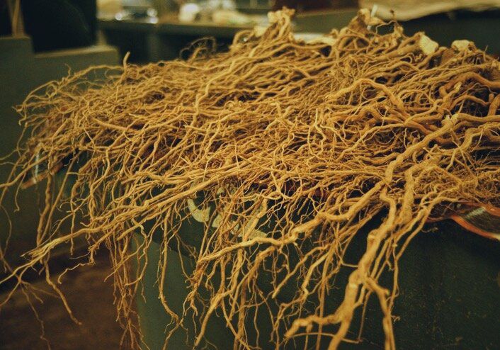 Cleaned dried kava roots ready for pounding